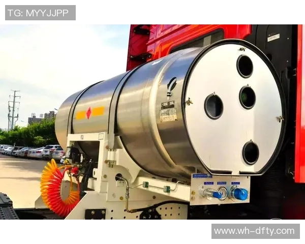 独家解析LNG灵活性优势与传统能源的深度对比分析MBA